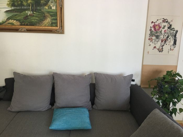 法兰市中心出售3个沙发靠垫、赠送一个小靠垫10欧元一套
