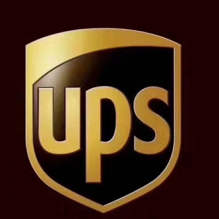 UPS进口